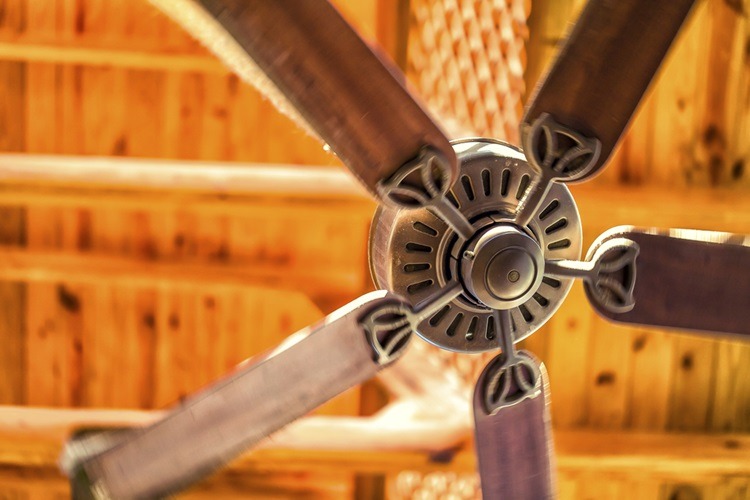 The best ceiling fans 2018