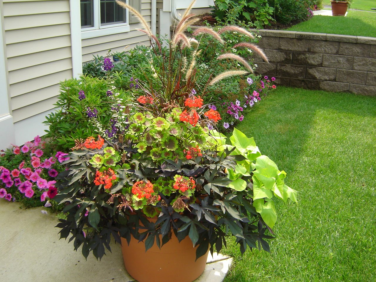 home decor plants