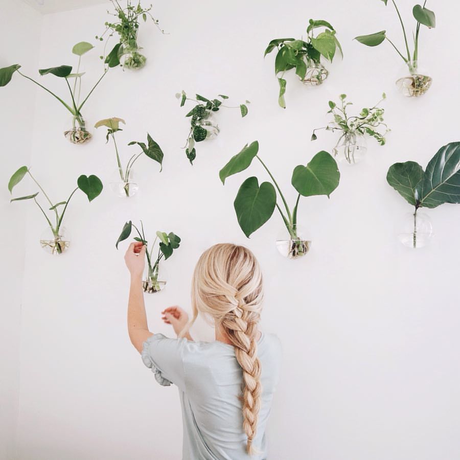 Plant Propagation Wall